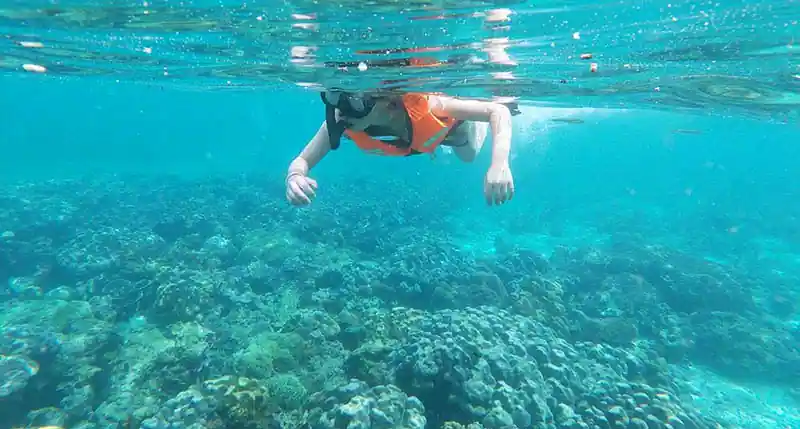 Phi Phi Island Tour from Phuket - Maya Bay Phi Phi Island tour by speedboat package