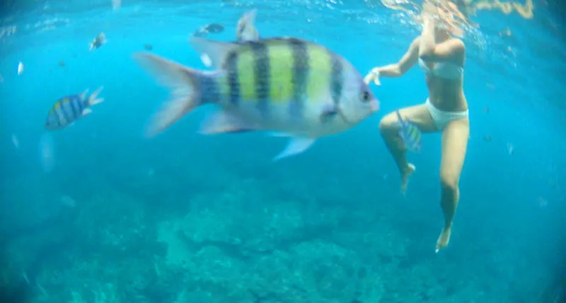 Phi Phi Island Tour from Phuket - Maya Bay Phi Phi Island tour by speedboat package