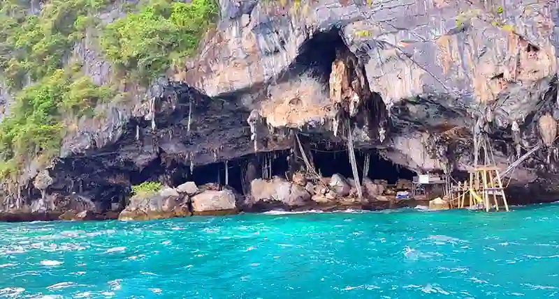 Phi Phi Island Tour from Phuket - Maya Bay Phi Phi Island tour by speedboat package