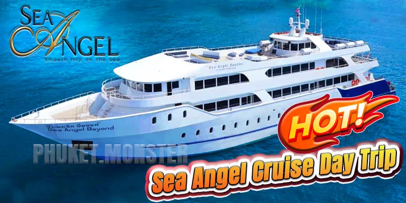 Sea Angel Cruise Day Trip